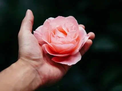 5 Minute Meditation Challenge: Day 3 - Smell