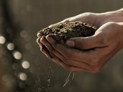 5 Minute Meditation Challenge: Day 5 - Touch