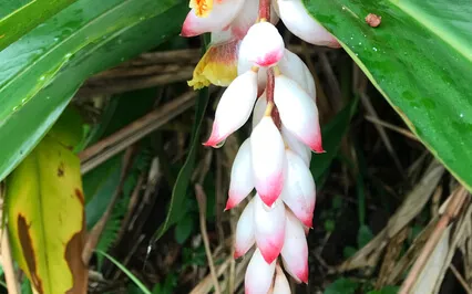 5 Minute Meditation Embracing Sensations