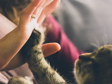 5-Minute Meditation for A Happy Life