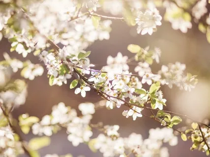 5 Minute Meditation For Anxiety Release