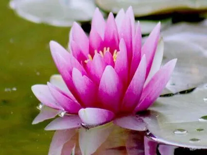 5-Minute Meditation For Anxiety