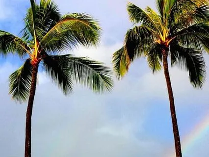 5-Minute Meditation For Balance & Forgiveness | Ho'oponopono