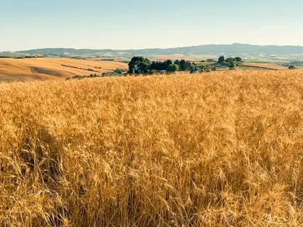 5 Minute Meditation For Banishing Stress