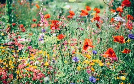 5 Minute Meditation For Mom – Overstimulated Or Touched Out