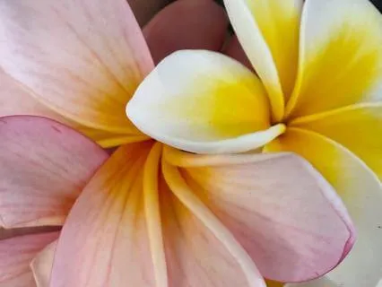 5-minute Meditation For Slowing Down In Overwhelm