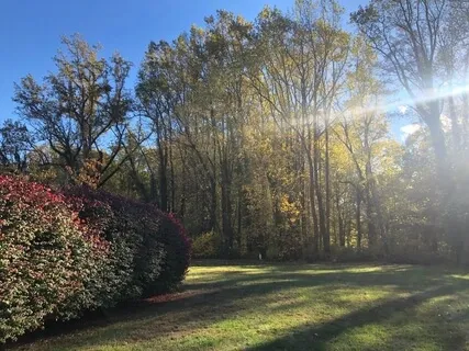 5 Minute Meditation For Stress & Anxiety