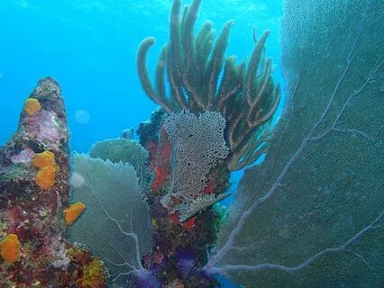 5 Minute Meditation For Vitality: Float In A Sea Of Chi