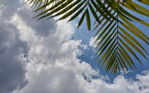 5 Minute Meditation: I Am Enough