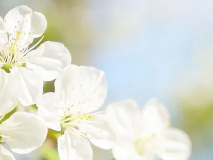 5 Minute Meditation: Mid-Day Ritual