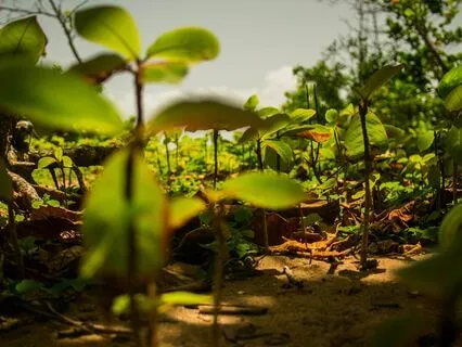 5-Minute Meditation: Regain Your Sense Of Self