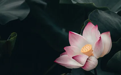 5-minute Meditation: Seeing The Supreme Self 