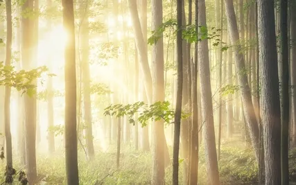 5 Minute Meditation - Starting Over