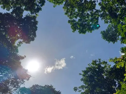 5 Minute Meditation: Stress Relief Body Scan