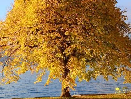 5 Minute Meditation - The Parts Of You You've Outgrown