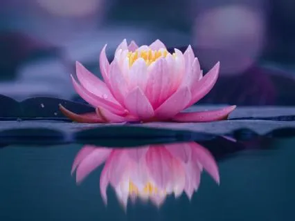 5 Minute Meditation To Calm Anxiety About Uncertainty