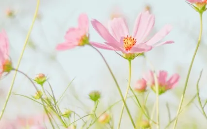 5-Minute Meditation To Find Your Voice & Speak Your Truth