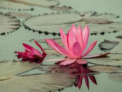 5 Minute Meditation To Gather Focus In A Distracted World