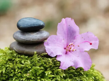 5 Minute Meditation To Pause Before Reacting