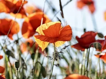 Reduce The Chatter Of The Mind: 5 Minute Practice