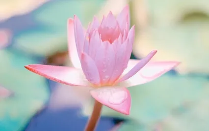 5 Minute Meditation with Singing Bowl