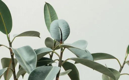 5-Minute Midday Meditation For Stress Relief