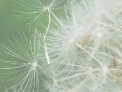 5-Minute Mindful Flow Of Breath Guided Meditation