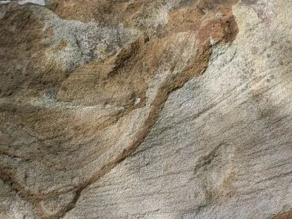 Five Minute Mindful Pause