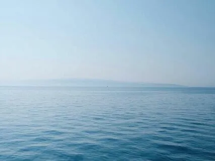 5 Minute Mindfulness Check In