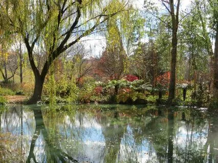 5 Minute Mindfulness To Quiet The Mind