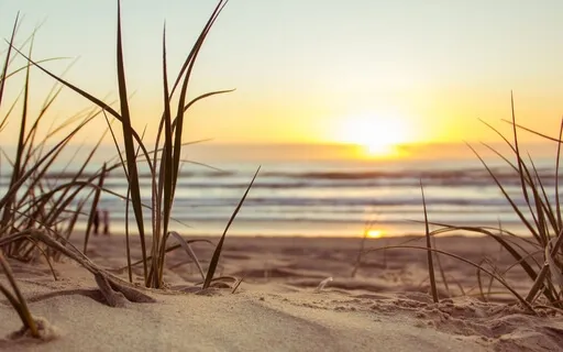 5 Minute Mindfulness Meditation (With Music)