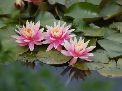 5-Minute Mindfulness Of Breath Meditation