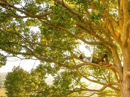 5 Minute Mindfulness Of Breathing