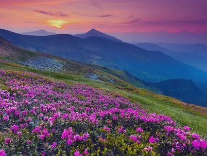 5-Minute Mindfulness Practice