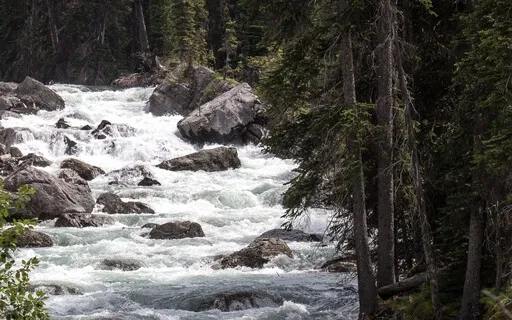 5 Minute Mindfulness With Nature Sounds