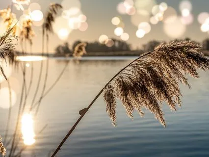 5-Minute Morning Affirmations: Transform Your Mindset