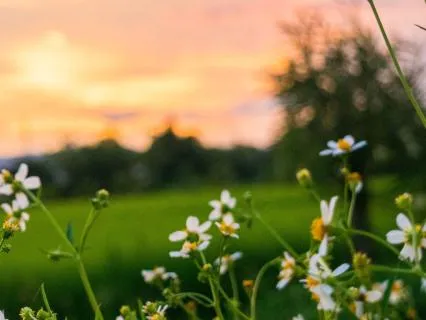 5 Minute Morning Calm Breathwork With Music | Perfect Breath