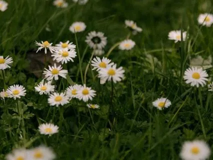 5-Minute Morning Check In Meditation