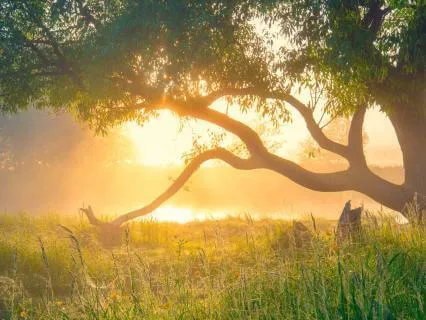 5-Minute Morning Gratitude