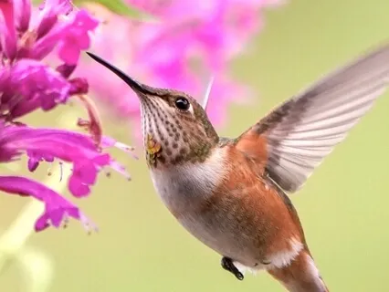 5 Minute Morning Practice