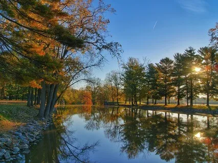 5 Minute Morning Meditation- A precious Pause