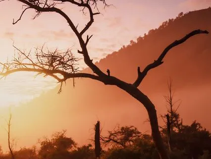 5 Minute Morning Meditation For Clarity And Positive Energy