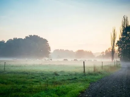 5 Minute Morning Meditation For Focus