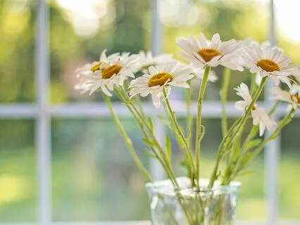 5-Minute Morning Meditation For Gratitude