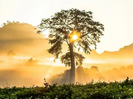 5 Minute Morning Meditation With Your Higher Self