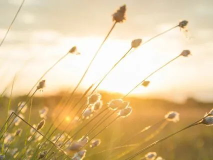 5 Minute Morning Meditation