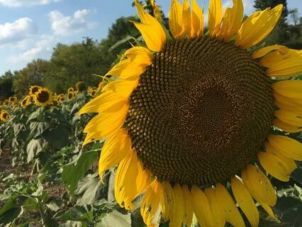 5-Minute Morning Meditation