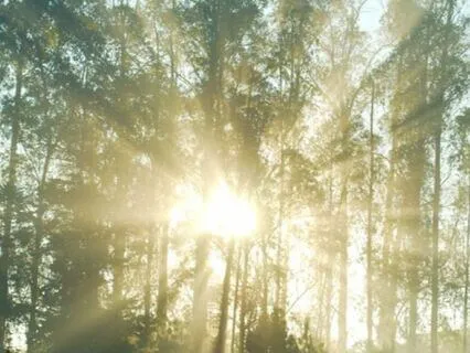 5-Minute Morning Meditation