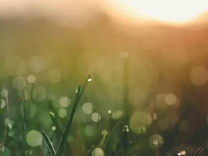 5-Minute Morning Meditation