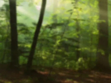 5 Minute Morning Mindful Meditation